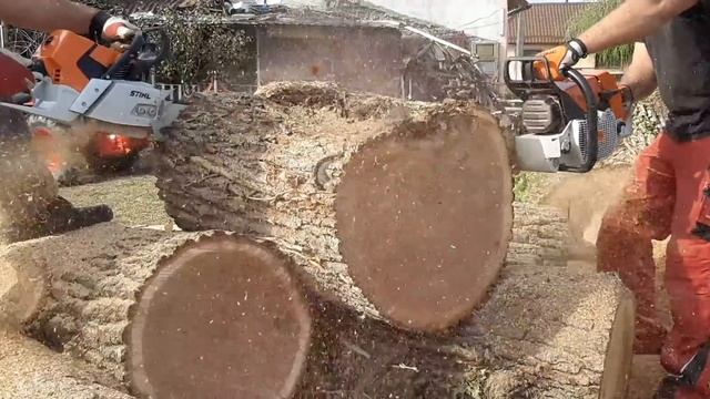 Stihl ms 880 vs stihl ms 661c-m chain chisel vs semichizsel смотреть онлайн