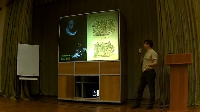 Колониальность смотреть онлайн