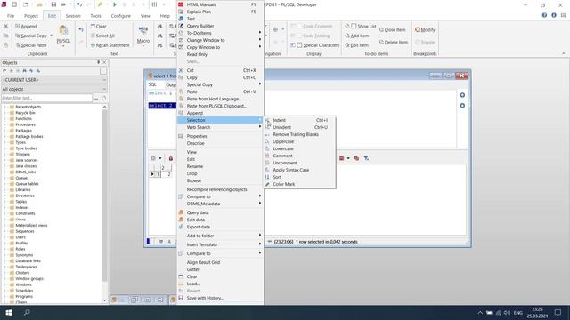 #08 Основы работы в PL/SQL Developer смотреть онлайн