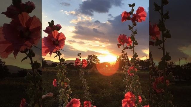 20 июня 2020 г. смотреть онлайн