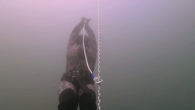 Фридайвинг тренировка смотреть онлайн