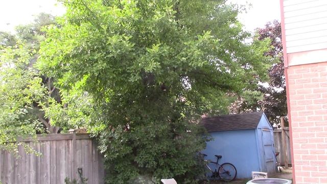 Фен Шуй начало, внутреннее и внешнее смотреть онлайн