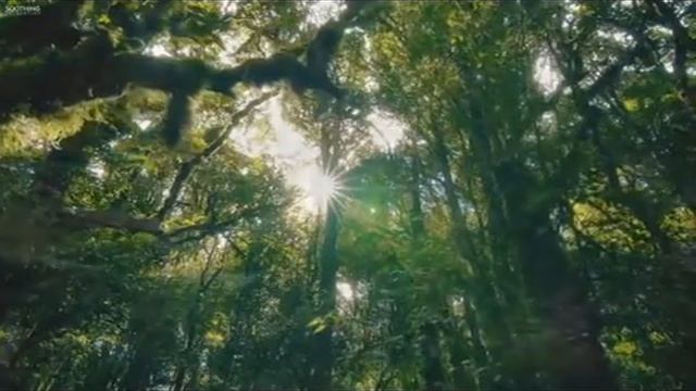 Обретение спокойствия, избавление от страхов и тревог. Джозеф Мерфи смотреть онлайн