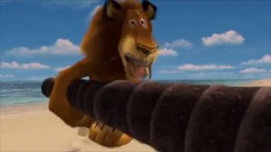 Мадагаскар rytp