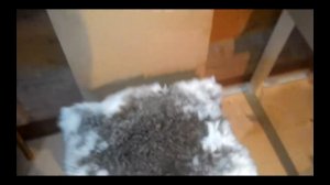 выделка шкур самый легкий способ!