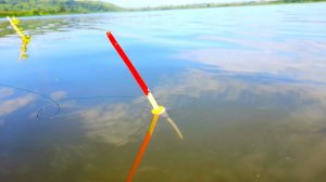 КАРАСИ КЛАДУТ и ТОПЯТ на КАЖДОМ ЗАБРОСЕ .  #рыбалка  #ловлякарасянапоплавок #fishing