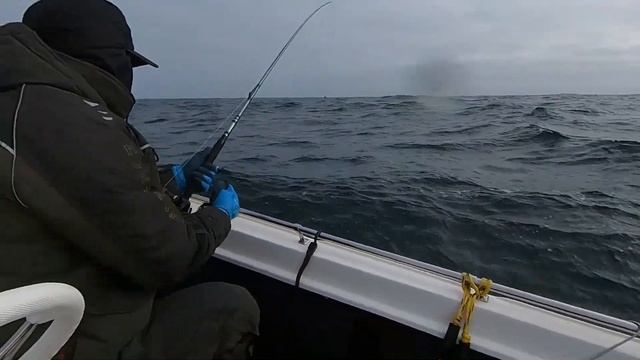 Апрель 2022 Баренцево море. Териберка. Рыбалка на треску. смотреть онлайн