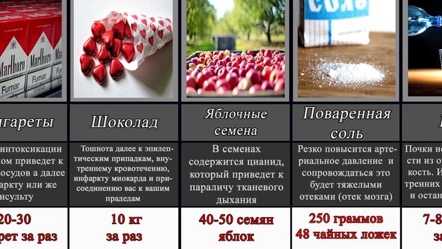 СМЕРТЕЛЬНАЯ ДОЗА ДОСТУПНЫХ ВЕЩЕСТВ И ПРОДУКТОВ ПИТАНИЯ смотреть онлайн