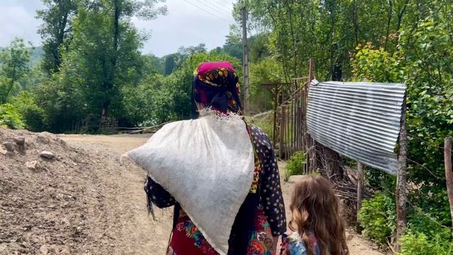 Harvesting Echium Flower and Cooking Jam in Village - Nomad Life смотреть онлайн