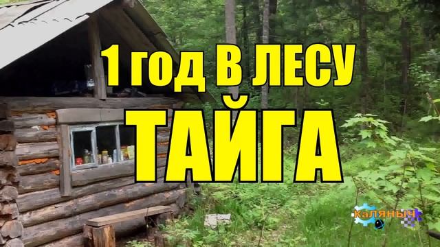 ГОД В ГЛУХОЙ ТАЙГЕ | КРУШЕНИЕ САМОЛЕТА | ЛЕТЧИК ИСПЫТАТЕЛЬ СССР | ВЫЖИТЬ В ЛЕСУ 1 из 10 смотреть онлайн
