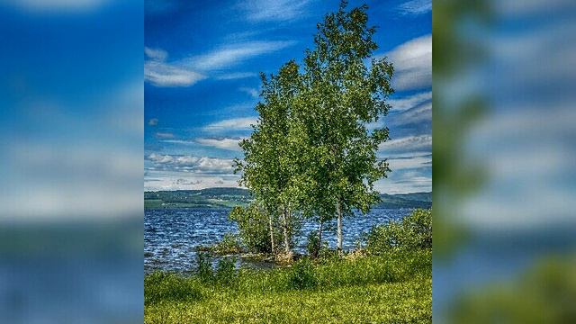 Аллегрова "Свечка,свечечка,свеча" (кавер) смотреть онлайн