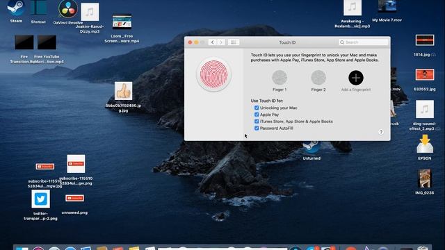 How to set up touch ID (MACBOOK) смотреть онлайн