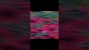 VID_20240827_195044.mp4