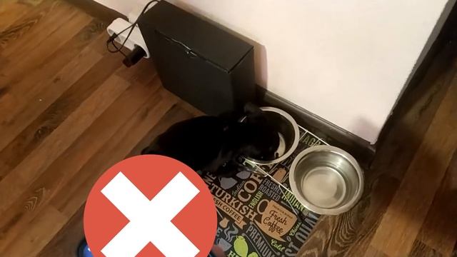 АВТОМАТИЧЕСКАЯ КОРМУШЛЯ ДЛЯ СОБАК СВОИМИ РУКАМИ DIY смотреть онлайн