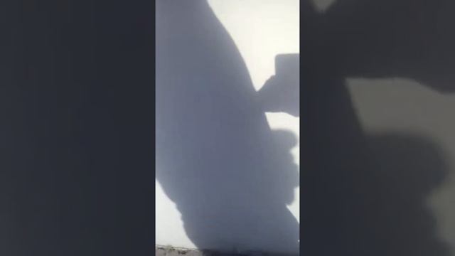 Дима. Сломал зуб смотреть онлайн