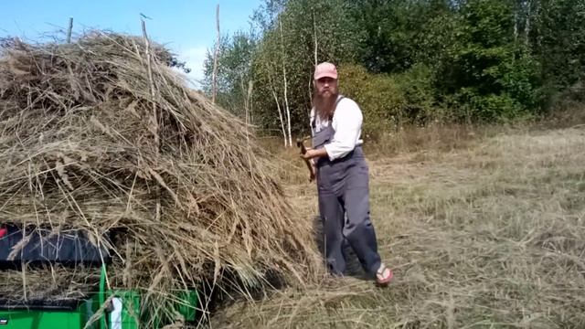 Заготовка сена на зиму для козы. смотреть онлайн
