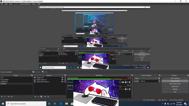 How to get a Bongo Cat webcam смотреть онлайн