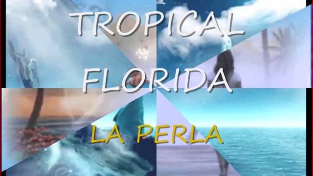 Tropical Florida La perla смотреть онлайн