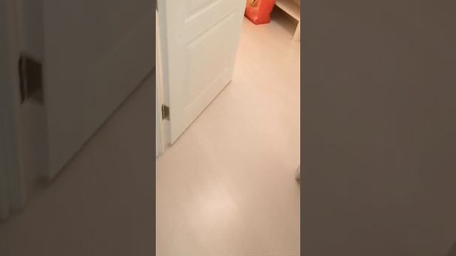 1 комнатная квартира в аренду Тольятти 40 лет Победы 104А смотреть онлайн