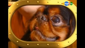 ТОП 10 Лучших Старых Передач КАРУСЕЛИ (Нереальная Ностальгия)