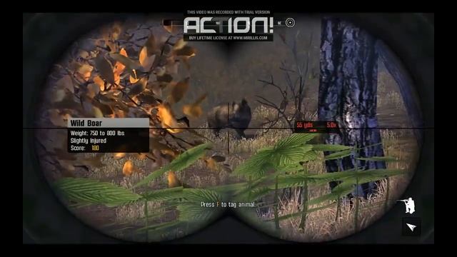 Наш обзор компьютерной игры-симулятора охоты Cabela's Big Game Hunter Pro 2014 смотреть онлайн