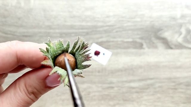 Как сделать лесной орех своими руками МК брошь часть 2 смотреть онлайн