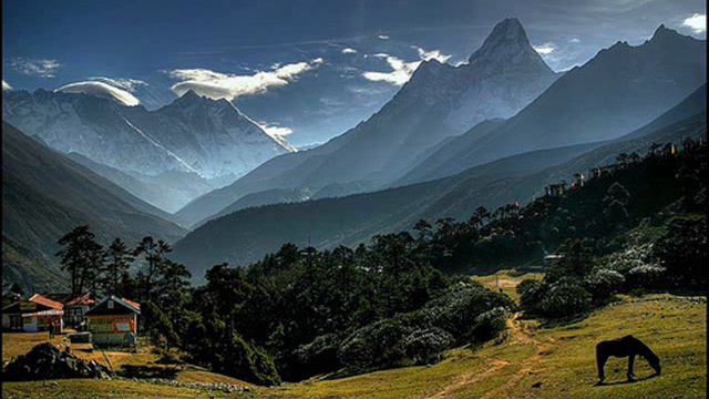 I. Posch-Galliarda смотреть онлайн