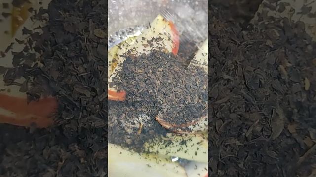 Ванильно-Фруктовый Чай #shorts #рецепт #чай #витаминныйчай #фруктовыйчай #напитки смотреть онлайн