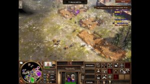 Age of Empires 3 - Слишком просто