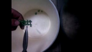 УЗВ . БИОЗАГРУЗКА своими руками  Часть 6