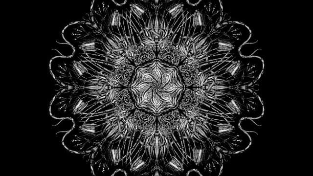 Dub Niggurath - Antarctic Anomaly смотреть онлайн