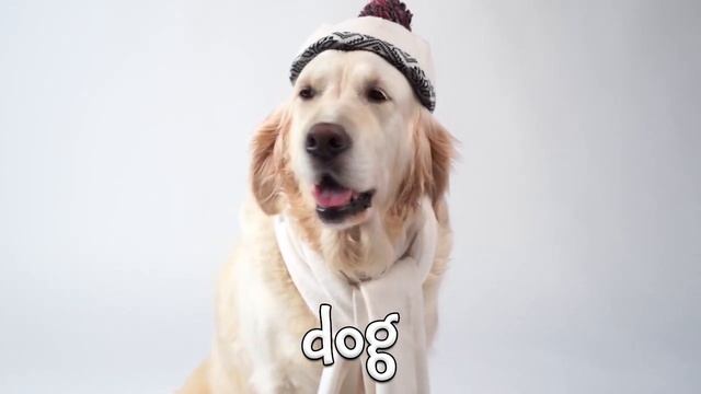 Fun Farm Animal Facts For Kids! Learning About Farm Animals