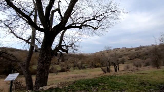 Прогулка по Максимовой даче март 2020 смотреть онлайн