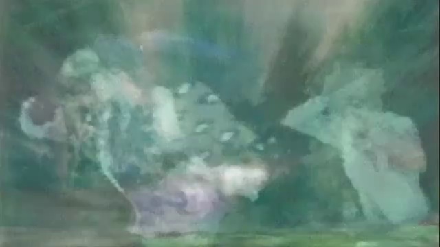 haru 7 смотреть онлайн