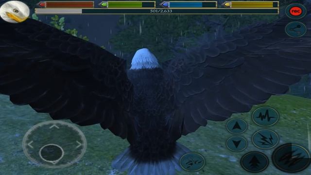 Ultimate Bird Simulator -"Fly like An Eagle" - By Gluten Free Games Simulation - iTunes/Android смотреть онлайн