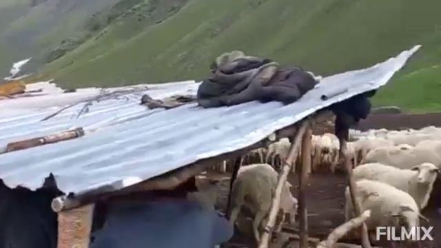 Горцы тляраты,, Труд в горах,, Тляратинский район,, Красоты Тляраты,, смотреть онлайн