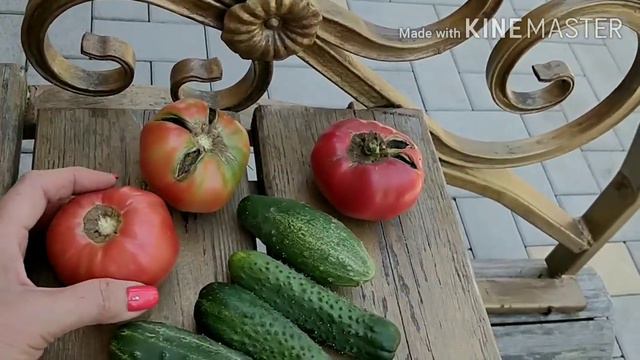 Три печальки. Бабушка-зоркий глаз! Без суеты. Когда ошибочка вышла! смотреть онлайн