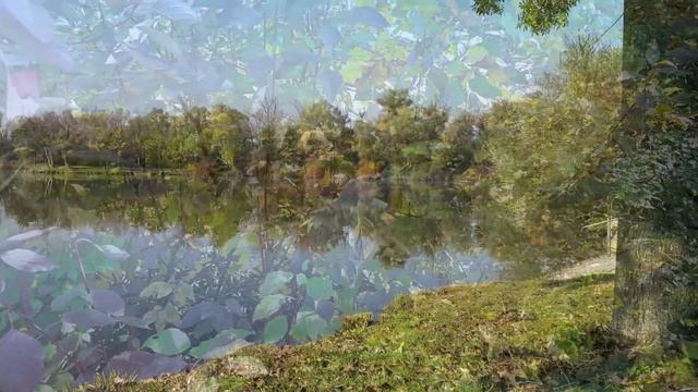 Piano instrumental romantic songs. Autumn Lake. Relaxation New Age Soundtrack. Vladimir Sterzer смотреть онлайн
