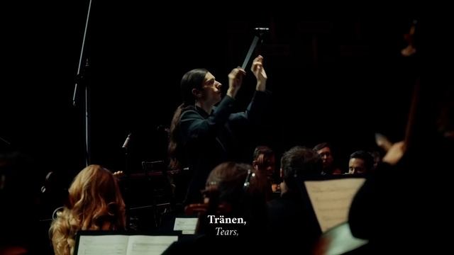 VOGEL IM KÄFIG - ATTACK ON TITAN (feat. Stella Siecinska) - // Grissini Project Orchestra смотреть онлайн
