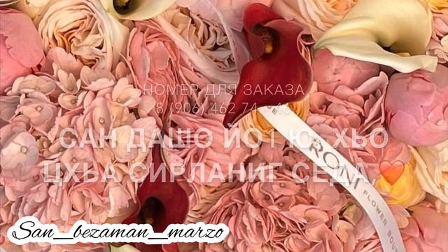 Для мар йиш, хаз йо1❤️ смотреть онлайн