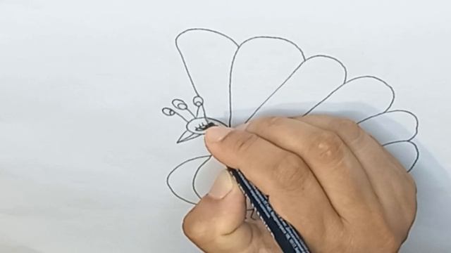 How To Draw A Peacock StepbyStep @APDRAWING  !! Как Нарисовать Павлина