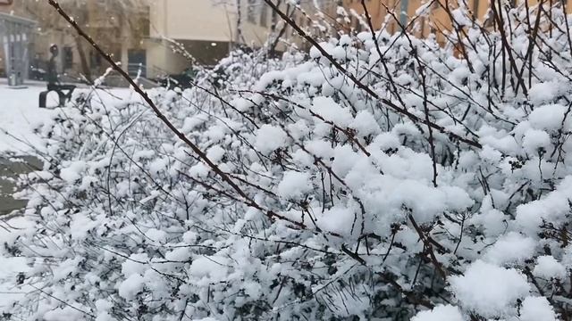 Минск накрыло снегом 8 апреля. Весна - близко? смотреть онлайн