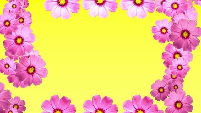 Футаж Розовые цветы. Фон-футаж для видео-монтажа смотреть онлайн