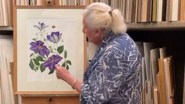 Dr Shirley Sherwood presents: 'Clematis 'Elsa Spath'' by Josephine Hague смотреть онлайн