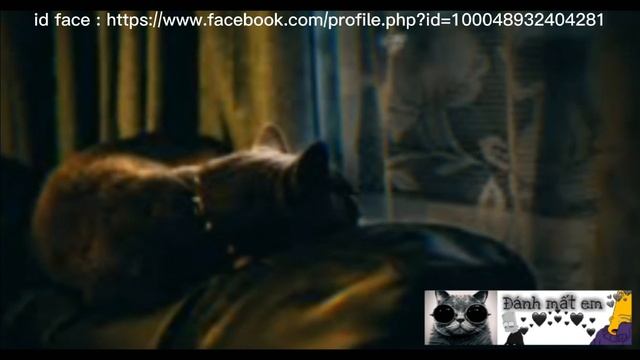 Add face : https://www.facebook.com/profile.php?id=100048932404281 смотреть онлайн