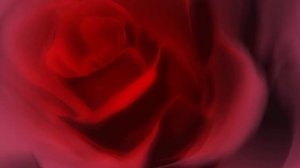 ФУТАЖ Роза - Footage Rose