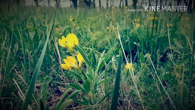 Не откладывайте счастье на потом! смотреть онлайн