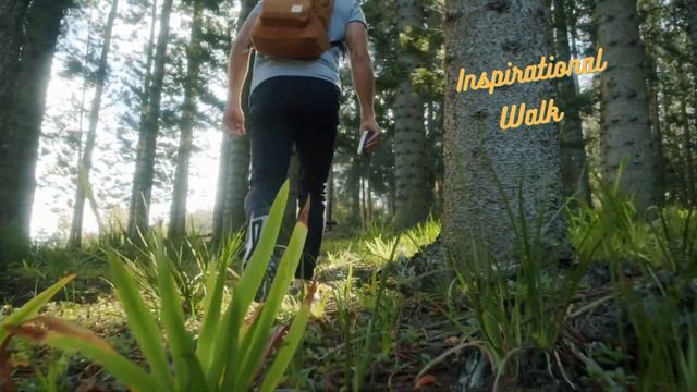 Ambience Music: Inspirational Nature Deep Focus for Work, Study, Relax, Chill, Sleep, Lofi, Sad смотреть онлайн
