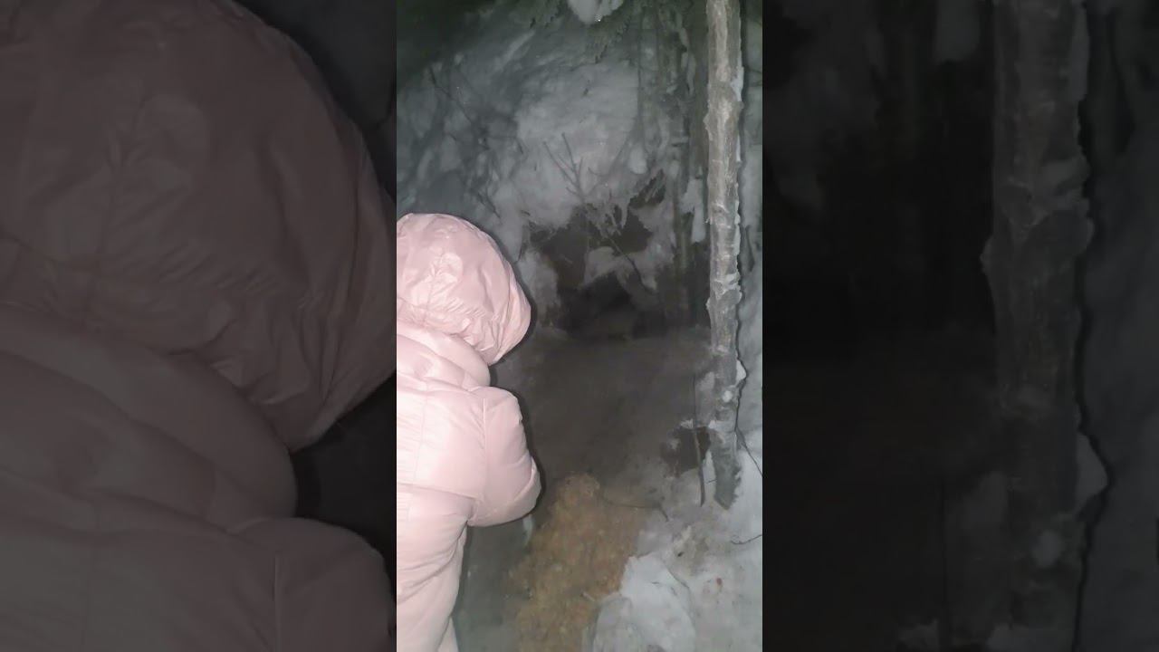 ▷Кормим щенков◁ смотреть онлайн