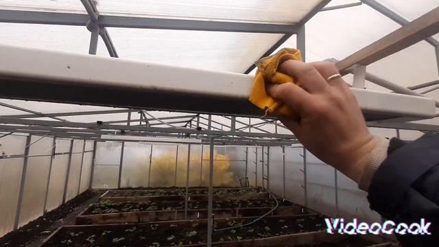 Инфракрасные обогреватели ИкоЛайн в теплице. Обзор после 5 лет использования. смотреть онлайн